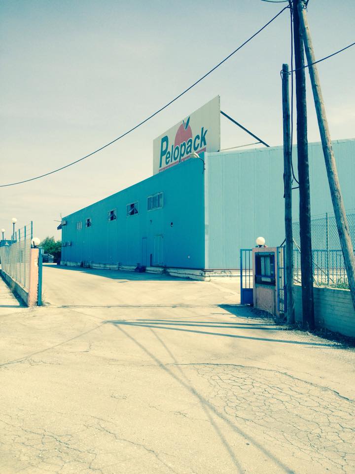 11349847_10206801803144412_82645620_n (1).jpg